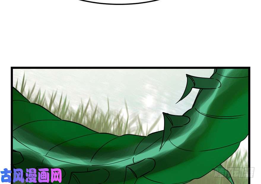 毒步天下：特工神医小兽妃24