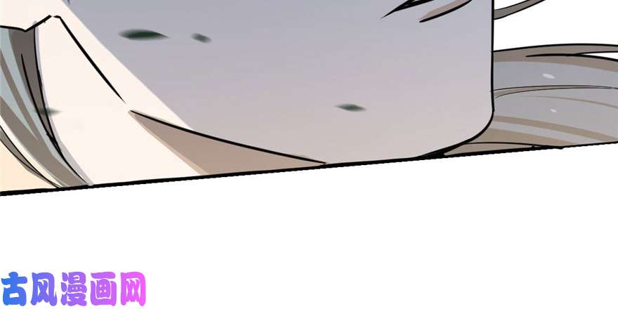 毒步天下：特工神医小兽妃24