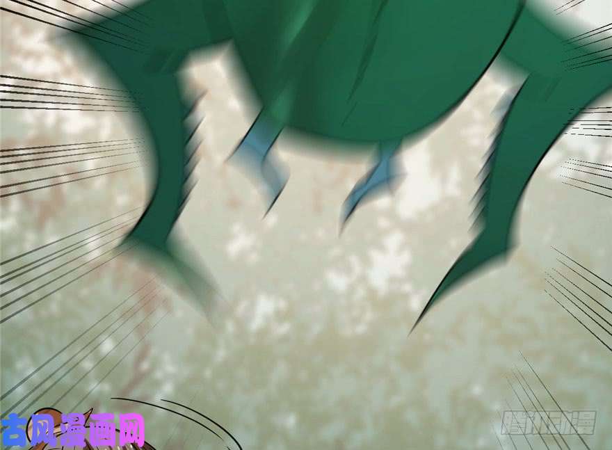 毒步天下：特工神医小兽妃24