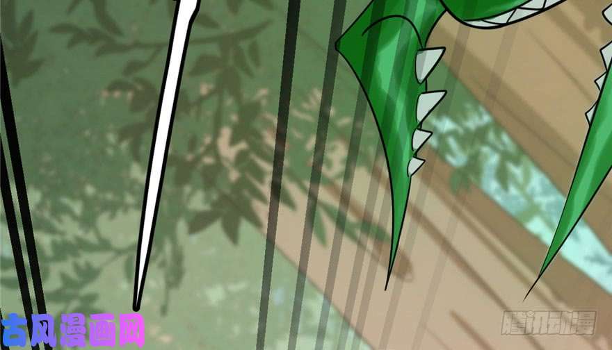 毒步天下：特工神医小兽妃24