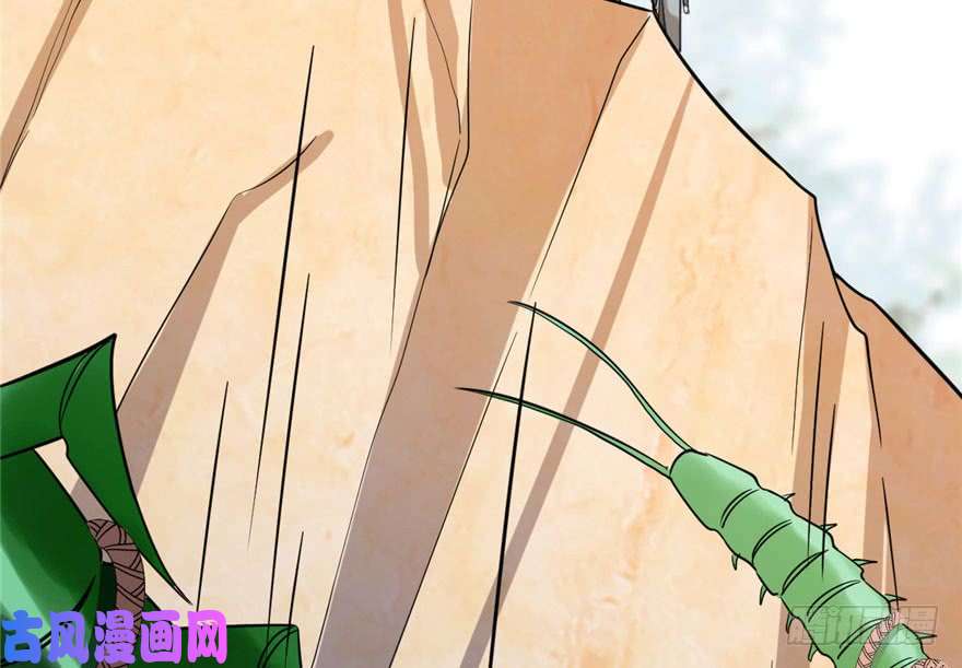 毒步天下：特工神医小兽妃24