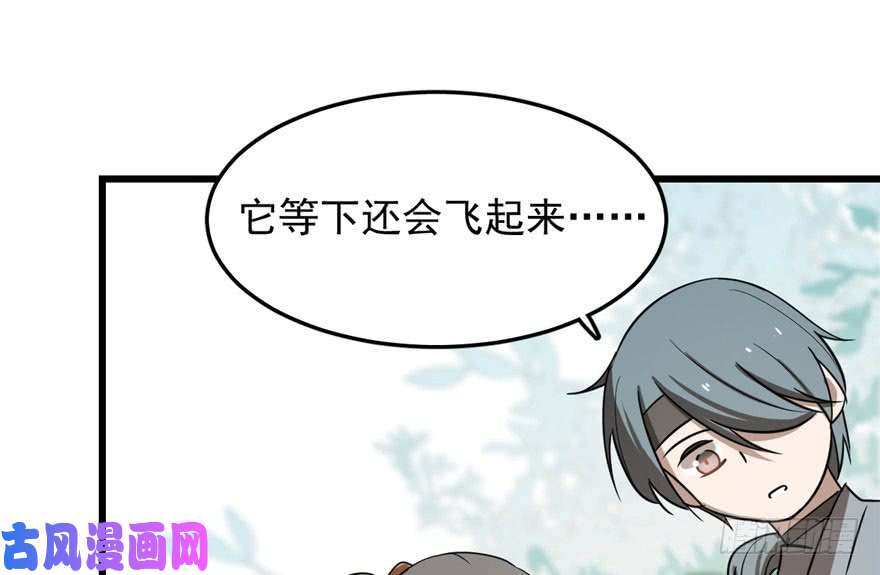 毒步天下：特工神医小兽妃24