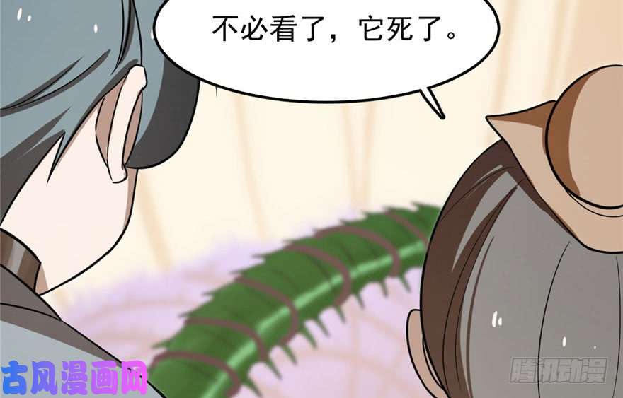 毒步天下：特工神医小兽妃24