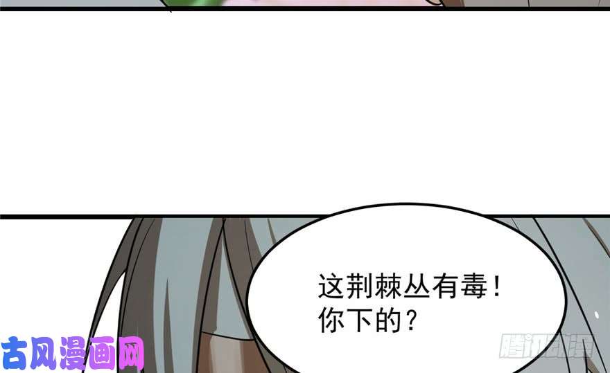 毒步天下：特工神医小兽妃24