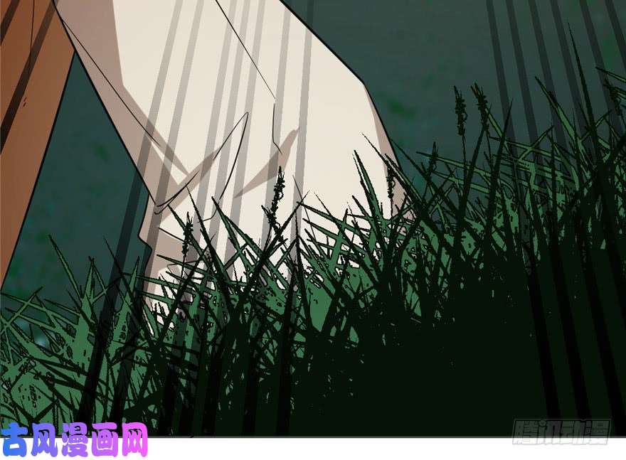 毒步天下：特工神医小兽妃24