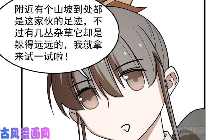 毒步天下：特工神医小兽妃24