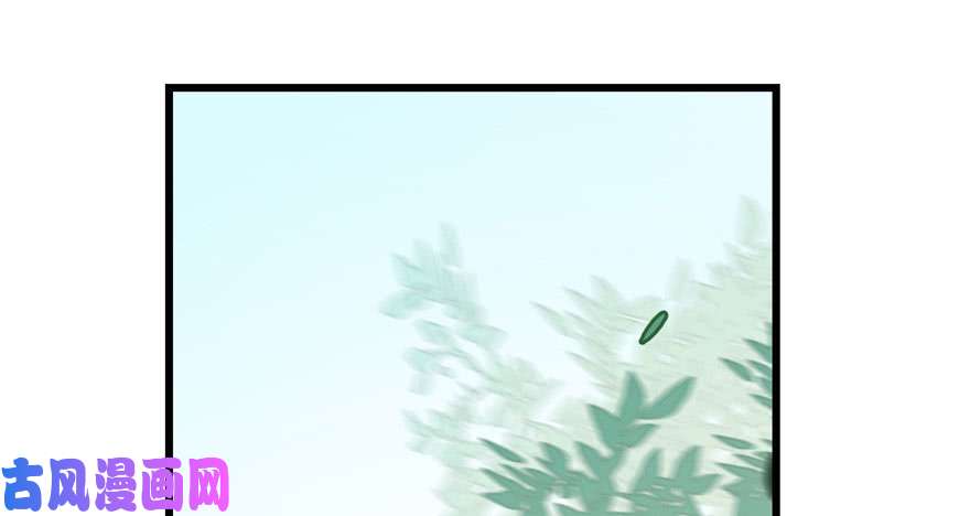 毒步天下：特工神医小兽妃24