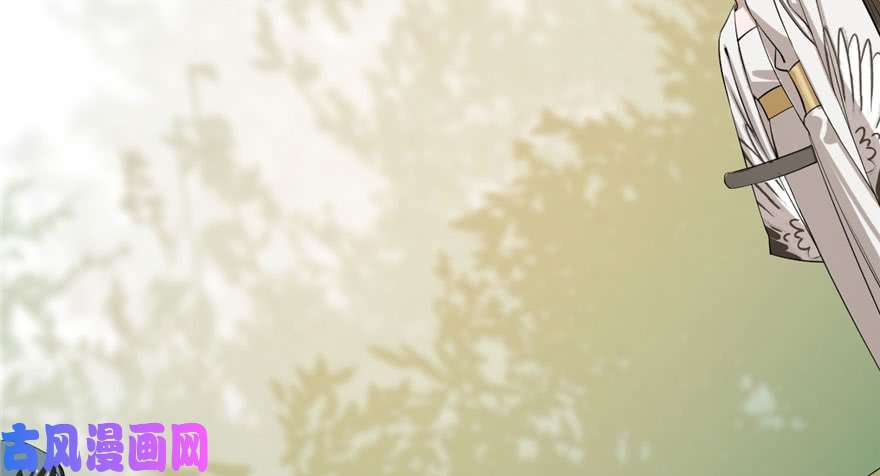 毒步天下：特工神医小兽妃25