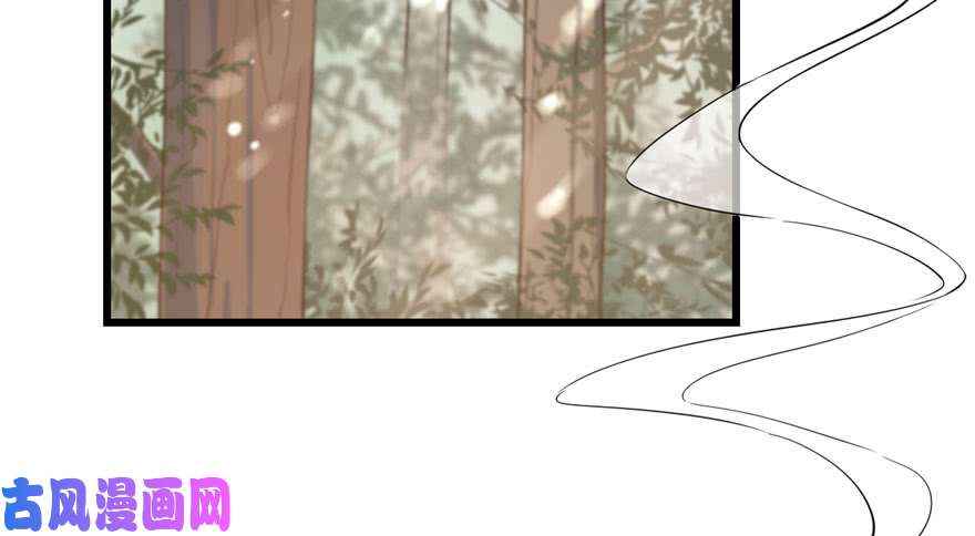 毒步天下：特工神医小兽妃25