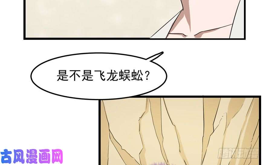 毒步天下：特工神医小兽妃25