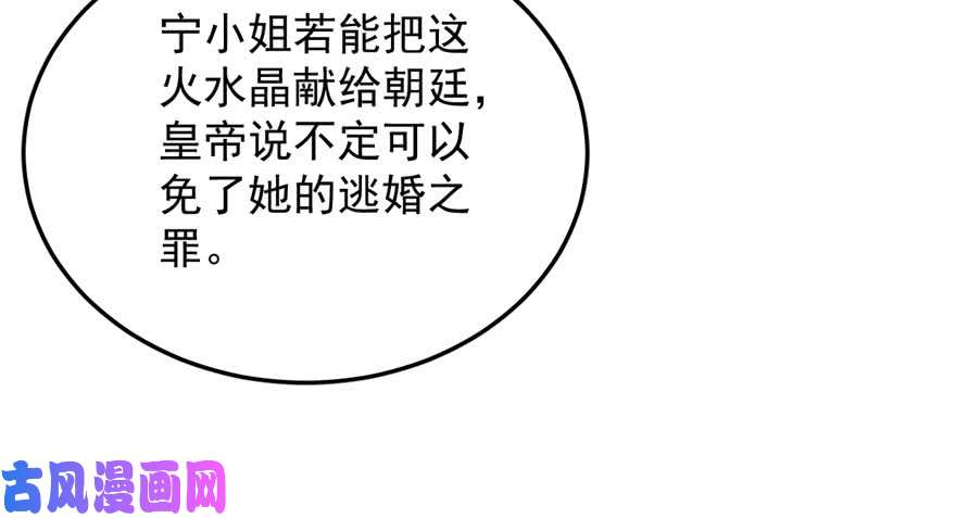 毒步天下：特工神医小兽妃25