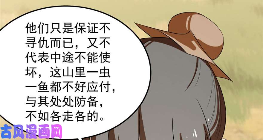 毒步天下：特工神医小兽妃26