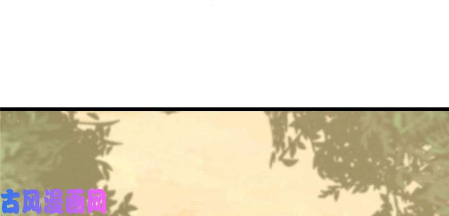 毒步天下：特工神医小兽妃26