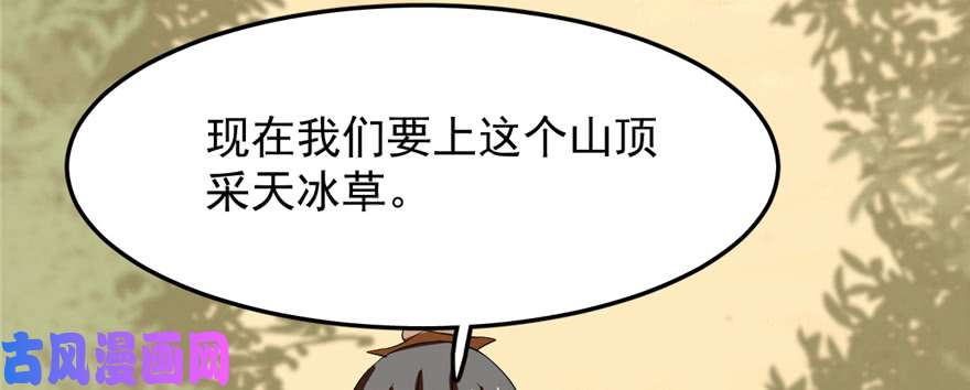 毒步天下：特工神医小兽妃26