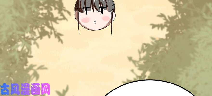 毒步天下：特工神医小兽妃26