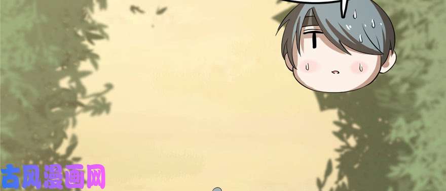 毒步天下：特工神医小兽妃26