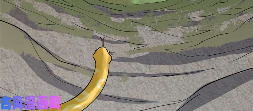 毒步天下：特工神医小兽妃26