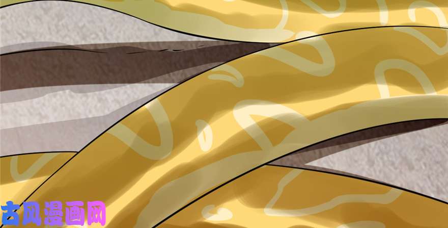 毒步天下：特工神医小兽妃26