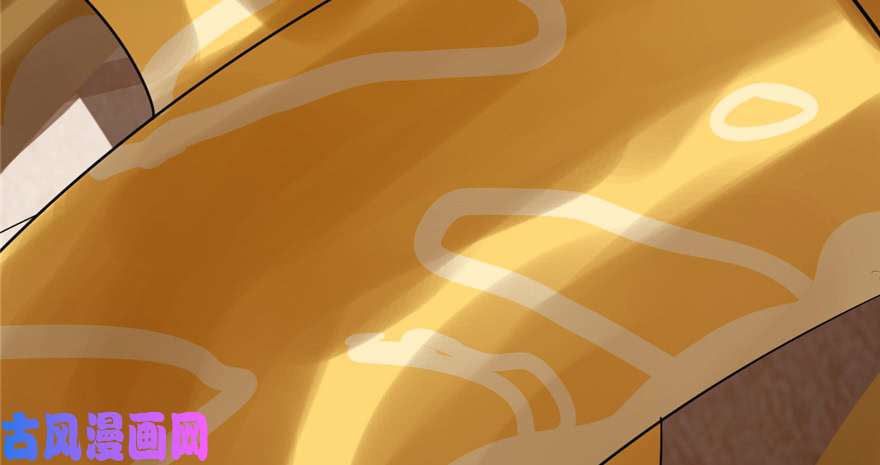 毒步天下：特工神医小兽妃26