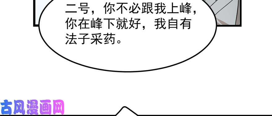 毒步天下：特工神医小兽妃26