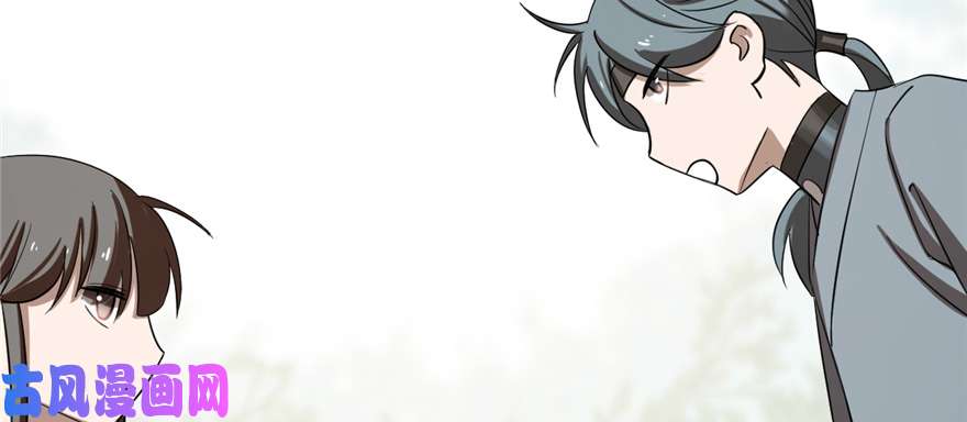 毒步天下：特工神医小兽妃26