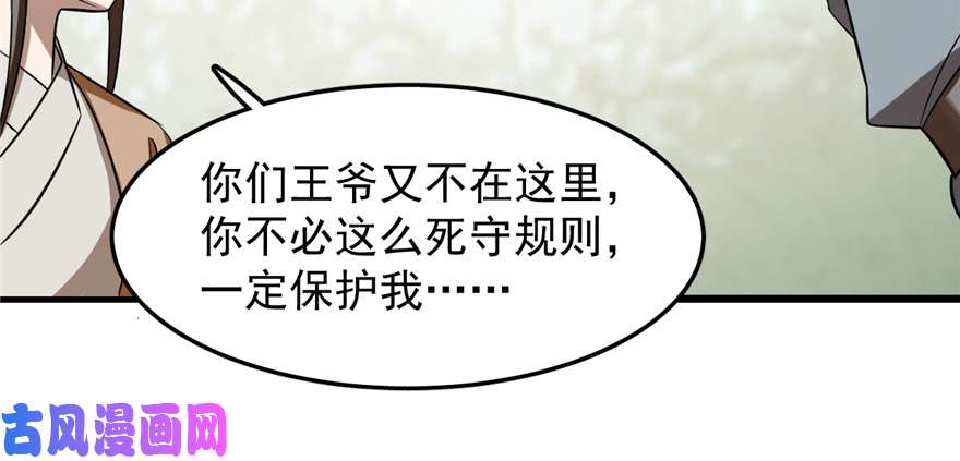 毒步天下：特工神医小兽妃26