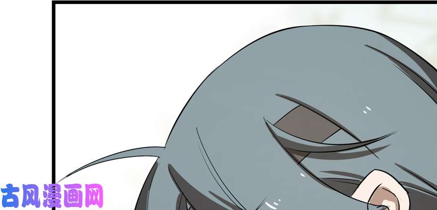 毒步天下：特工神医小兽妃26