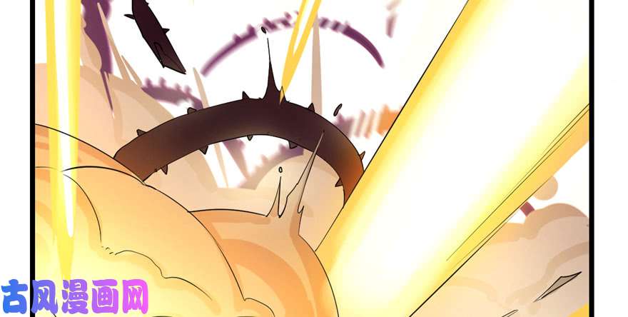 毒步天下：特工神医小兽妃26