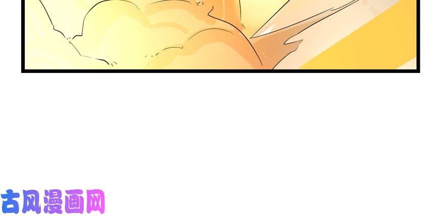 毒步天下：特工神医小兽妃26