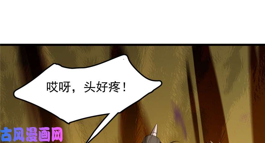 毒步天下：特工神医小兽妃26