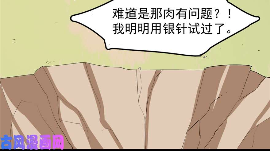 毒步天下：特工神医小兽妃26