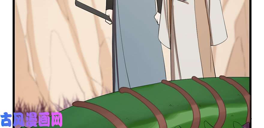 毒步天下：特工神医小兽妃26