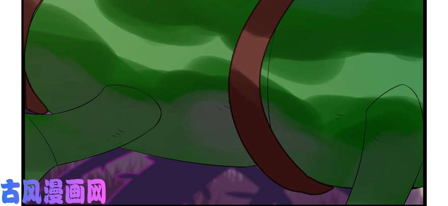 毒步天下：特工神医小兽妃26