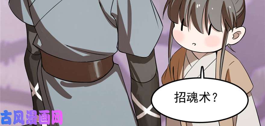 毒步天下：特工神医小兽妃26