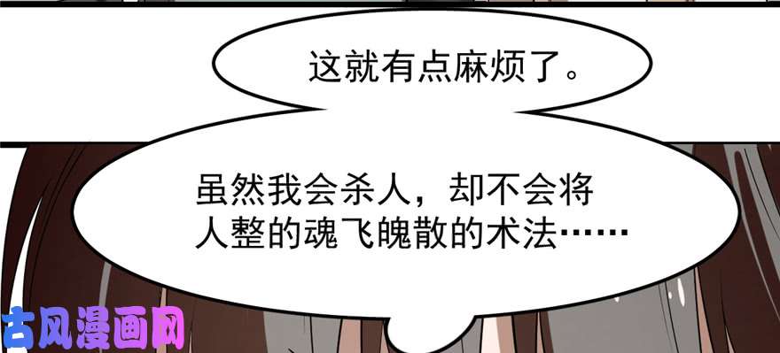 毒步天下：特工神医小兽妃26