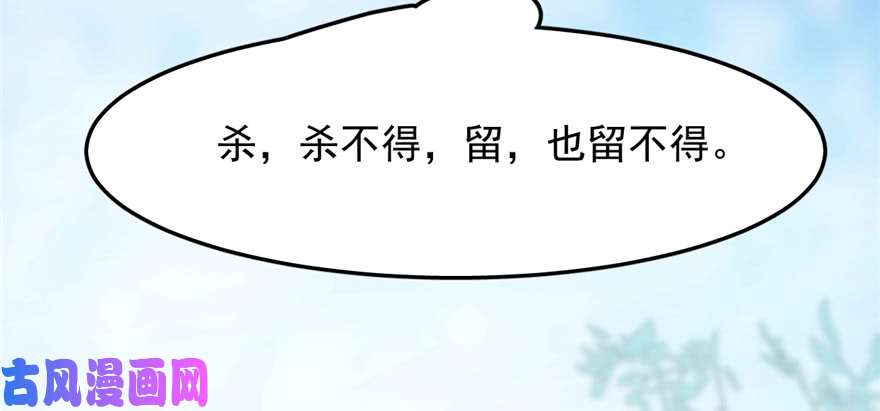 毒步天下：特工神医小兽妃26