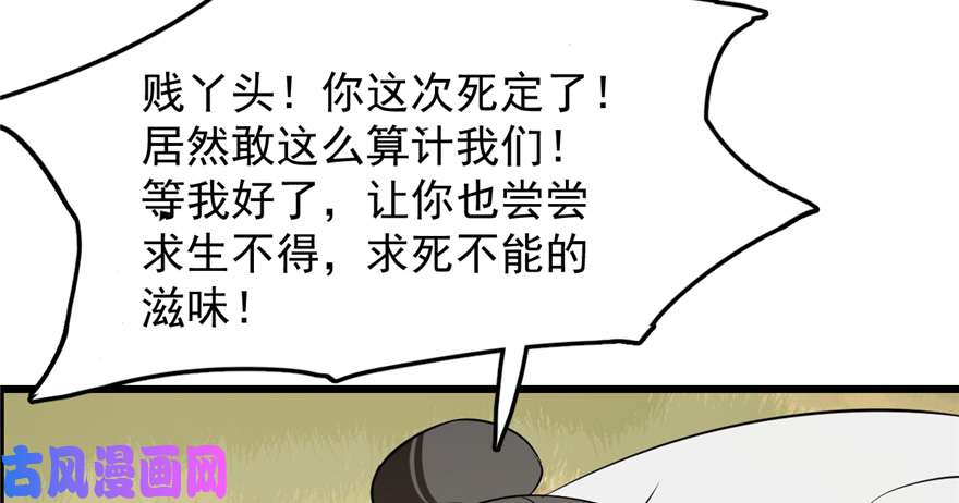 毒步天下：特工神医小兽妃26