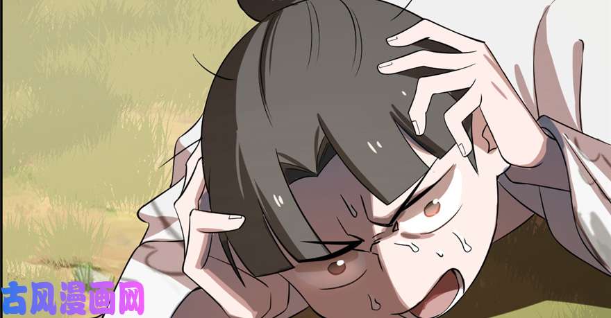 毒步天下：特工神医小兽妃26