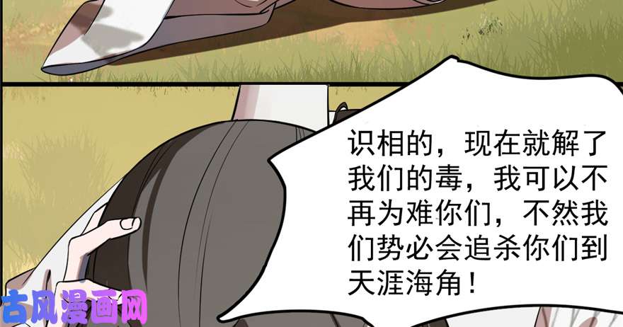 毒步天下：特工神医小兽妃26