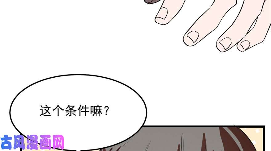 毒步天下：特工神医小兽妃26