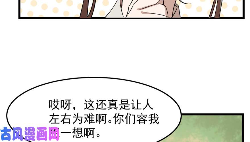 毒步天下：特工神医小兽妃26