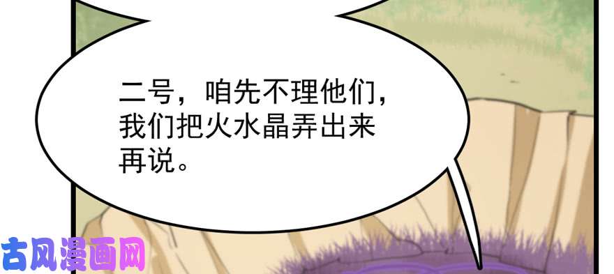 毒步天下：特工神医小兽妃26