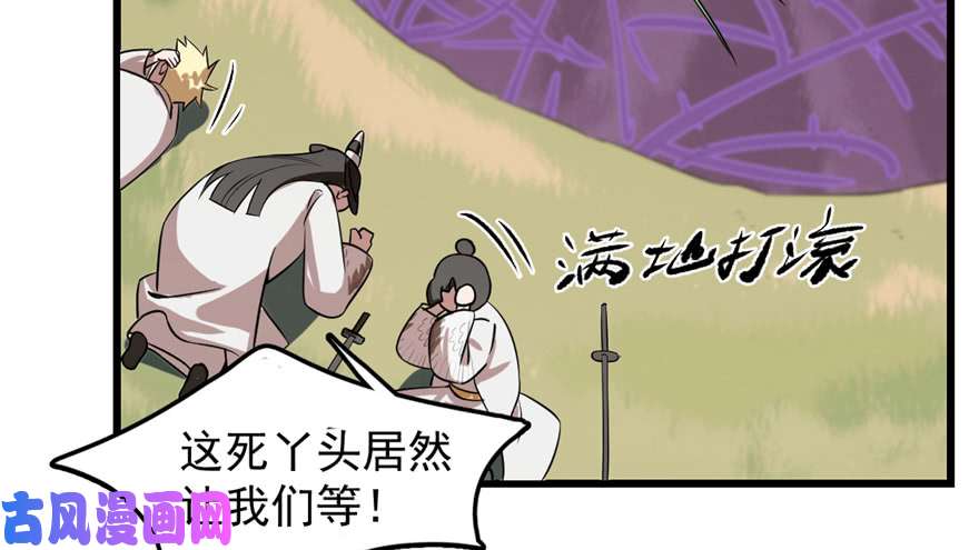 毒步天下：特工神医小兽妃26