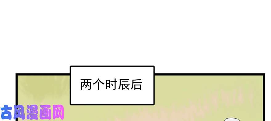 毒步天下：特工神医小兽妃26