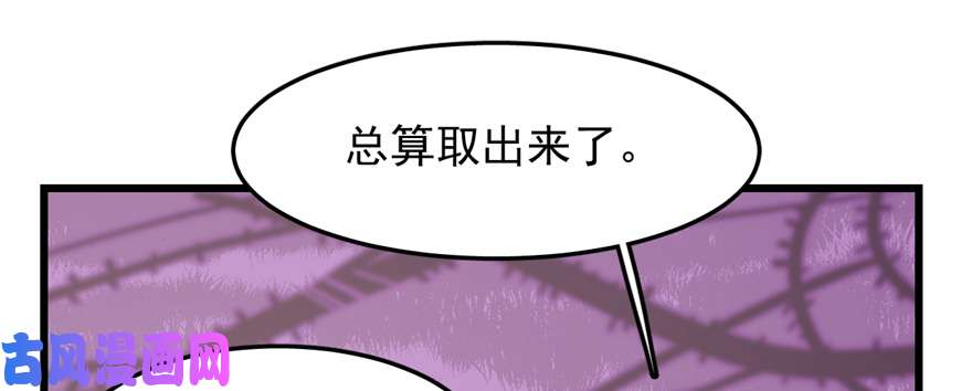 毒步天下：特工神医小兽妃26