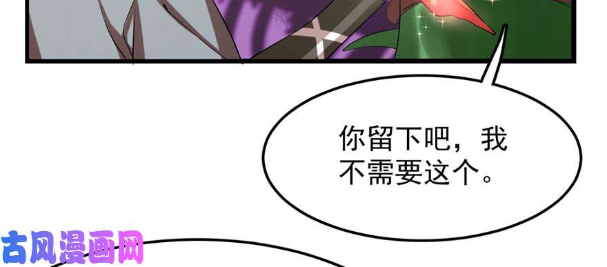 毒步天下：特工神医小兽妃26