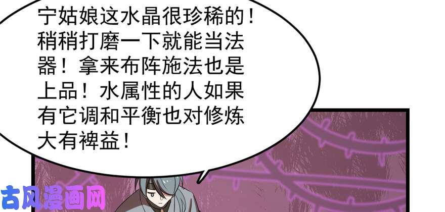 毒步天下：特工神医小兽妃26