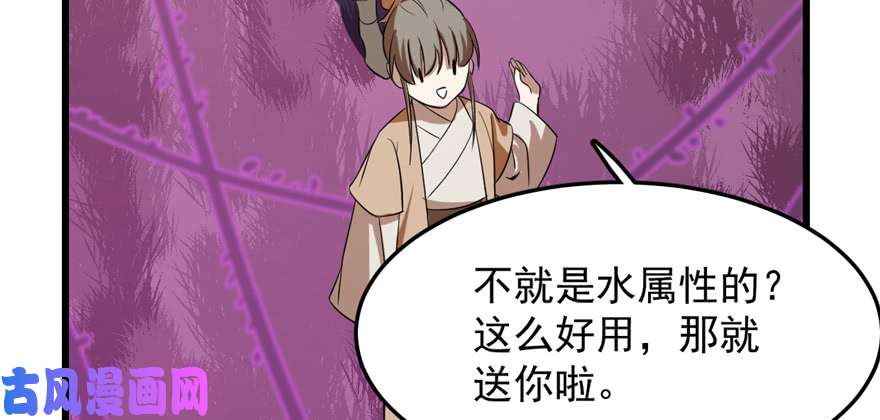 毒步天下：特工神医小兽妃26