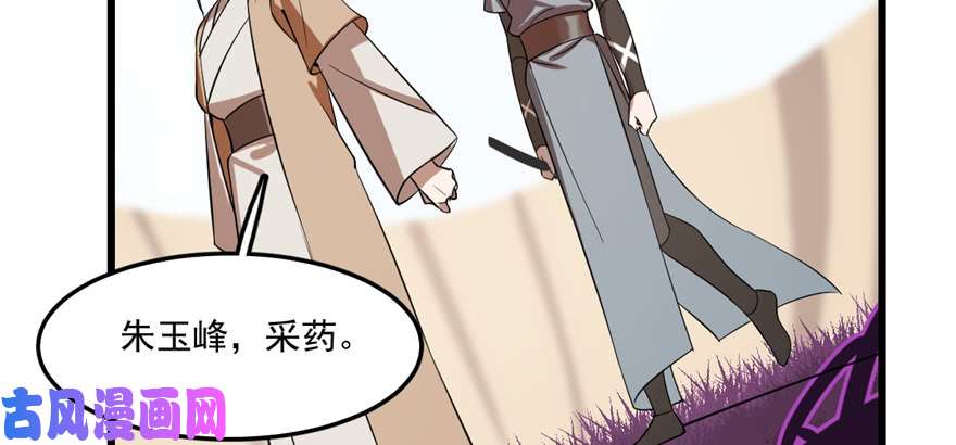 毒步天下：特工神医小兽妃26