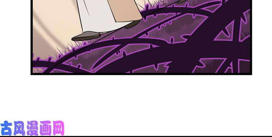 毒步天下：特工神医小兽妃26